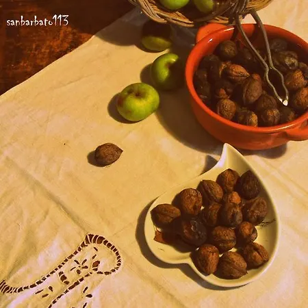 San Barbato 113 * كاسالبوردينو