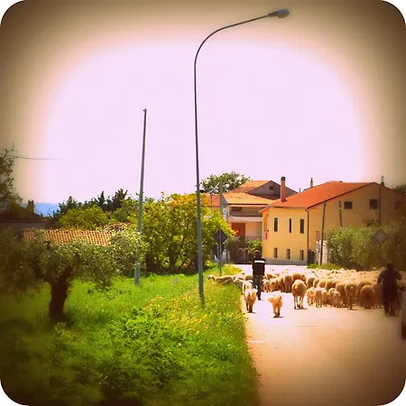 San Barbato 113 Country house *