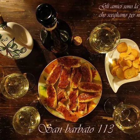 San Barbato 113
