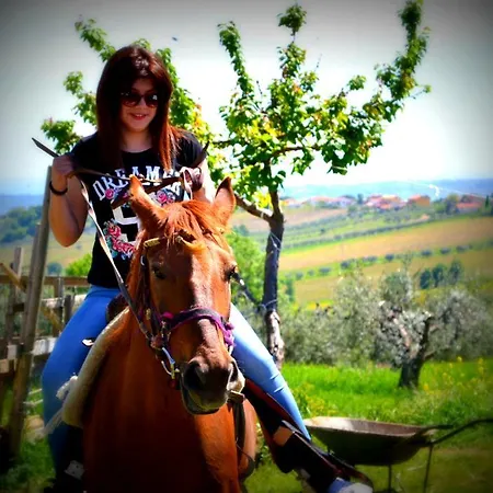 Country house San Barbato 113