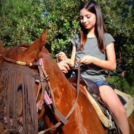 San Barbato 113 *